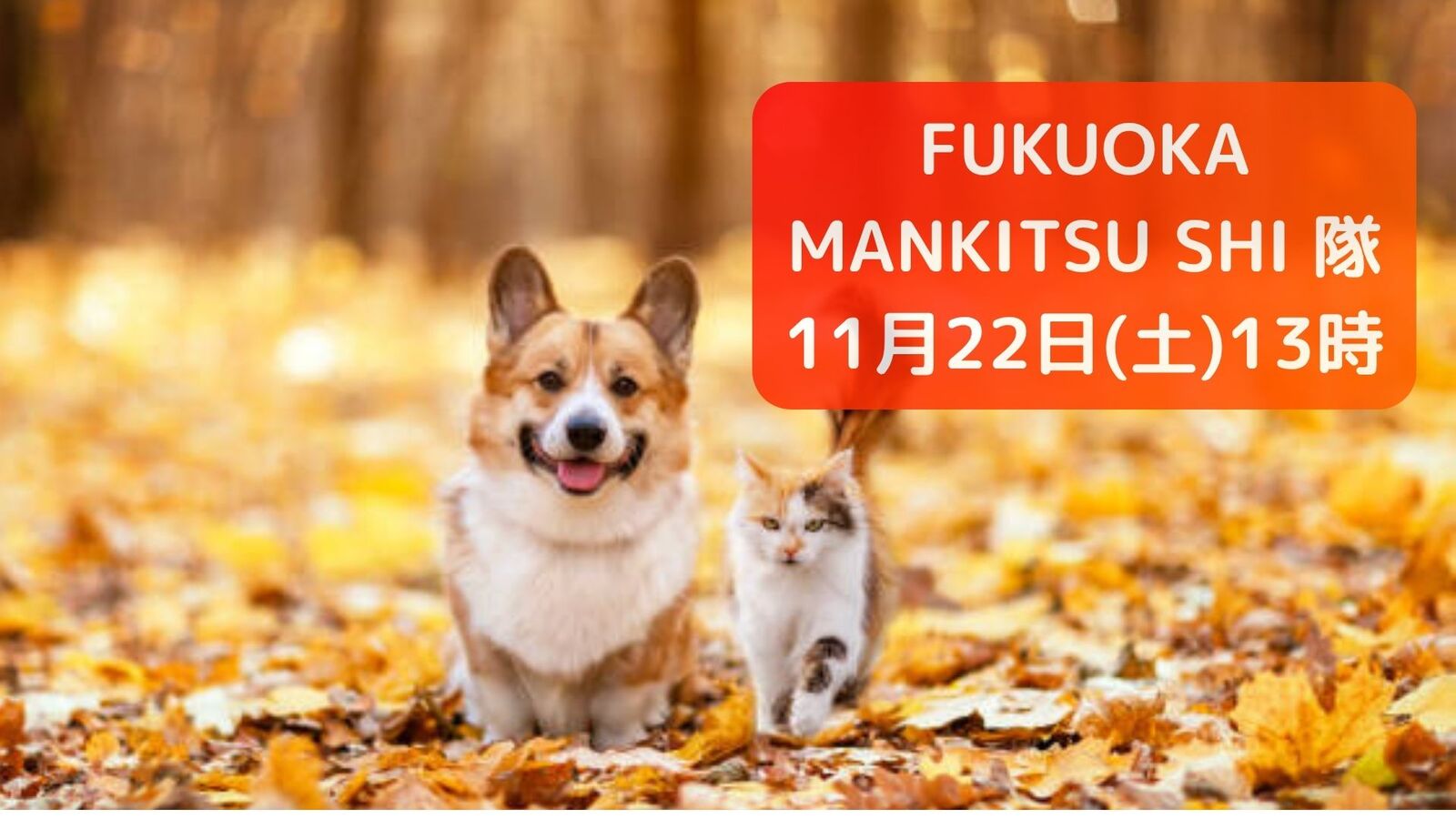 【11/22(土)13時～】秋を満喫✨もみじ狩り会🍁🍁🍁
