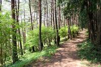 【青梅丘陵ハイキング】冬の木漏れ日を感じながらハイキング＆2025忘年会開催します🍹