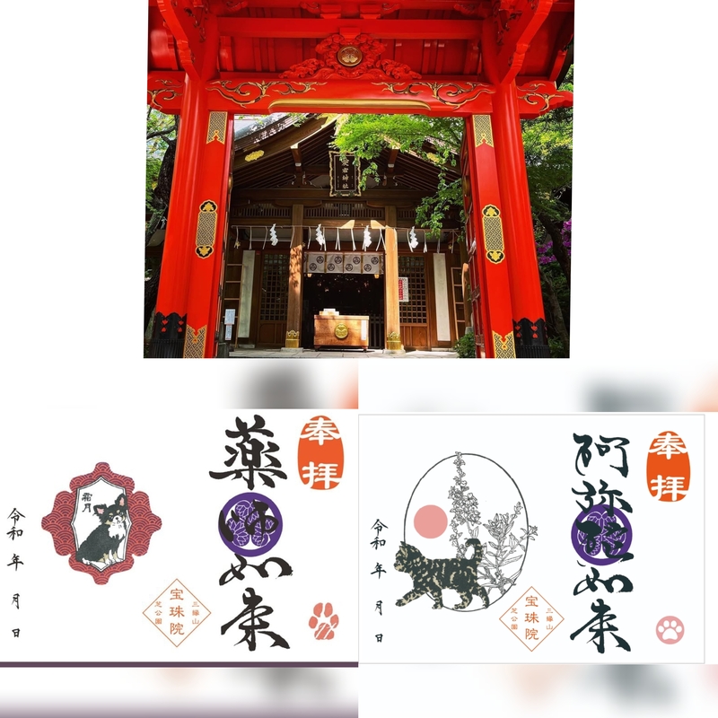 【女性主催】愛宕神社の茶屋&宝珠院で犬猫御朱印を頂きにいこう！
