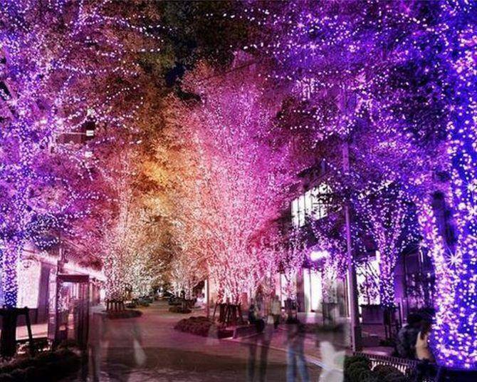 【20代30代限定】六本木イルミネーションを見に行こう🐽🐽