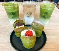【早割中】日本茶専門店に行こう！おすすめは酒茶ケーキです🌻🌻