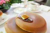 【20代30代限定】青山のオシャカフェに行こう！おすすめはホットケーキ🦊🦊
