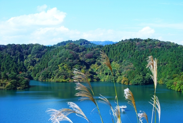 【登山初心者歓迎🔰】高尾山よりも静かな草戸山で爽快登山！トレイル体験🏞️