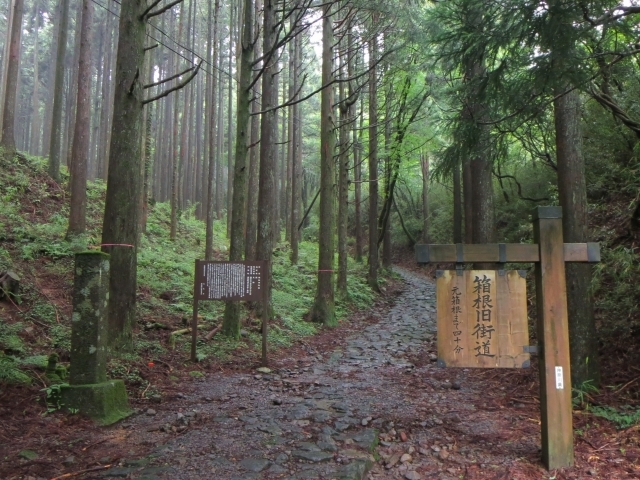 【箱根旧街道を歩こう】歴史と箱根の自然を満喫する一日🌿✨＆温泉でほっこり♨️