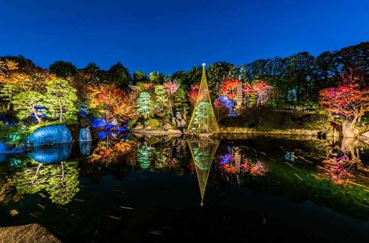 【20代30代限定】紅葉ライトアップへ行こう🌈🌈