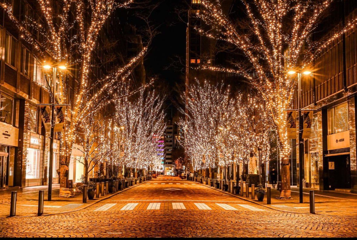 【🎄平成生まれ女子限定🎄】シャンパンゴールドの世界🏵️丸の内イルミネーションを見に行こう❣️