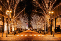 【🎄平成生まれ女子限定🎄】シャンパンゴールドの世界🏵️丸の内イルミネーションを見に行こう❣️