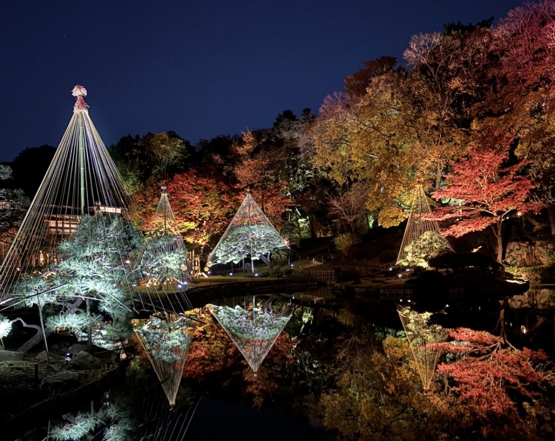 【女性主催】肥後細川庭園🍁紅葉ライトアップ満喫ナイト！幻想のライトと庭園絶景を体験しよう✨