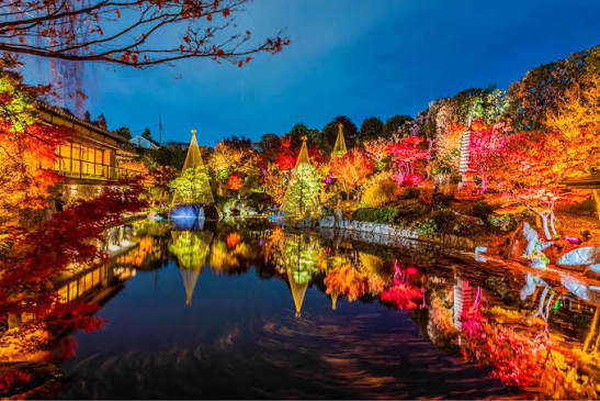 【女性主催】目白庭園🍁幻想紅葉ナイト！都心で味わうライトアップ体験✨