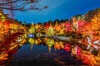 【女性主催】目白庭園🍁幻想紅葉ナイト！都心で味わうライトアップ体験✨