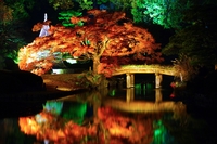 【女性主催】六義園で秋を満喫🍁限定ライトアップ鑑賞サークル・紅葉の絶景と幻想的な和の夜を楽しもう✨