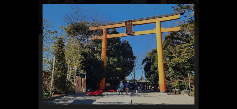 【川越初詣】新年の始まりを彩る特別なひととき✨