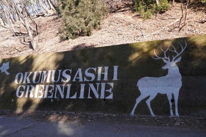 1/3【初詣＆登山】苔アート・絶景・初詣！新年の始まりはここからはじめよう！