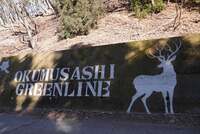 1/3【初詣＆登山】苔アート・絶景・初詣！新年の始まりはここからはじめよう！