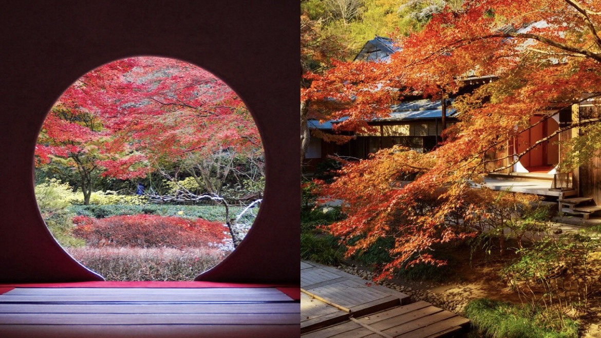 ★つなげーと初心者・一人参加大歓迎★【20代・30代限定】北鎌倉の紅葉×由比ヶ浜を秋さんぽ🍁