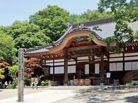 深大寺で心新たに開運🛕初詣散歩🎵絶品蕎麦や参道グルメ🍡✨鬼太郎茶屋👻