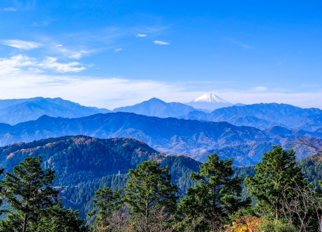 【6号路】高尾山で初詣登山⛰️ 新年リフレッシュ！友達づくり登山イベント✨