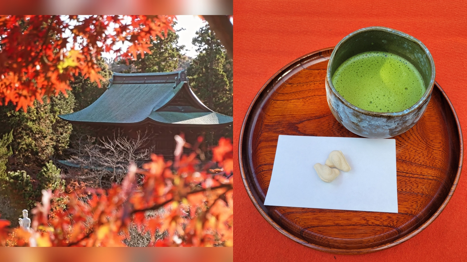 【女性主催】北鎌倉で仏閣巡りと紅葉を見に行こう！カメラ好きカフェ喫茶好き必見です！