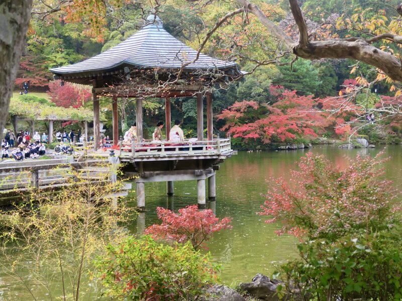 【11/18〜12/3開催】成田山公園🍁ライトアップ紅葉まつり限定！池に映る真紅の絶景×夜の幻想体験ツアー✨