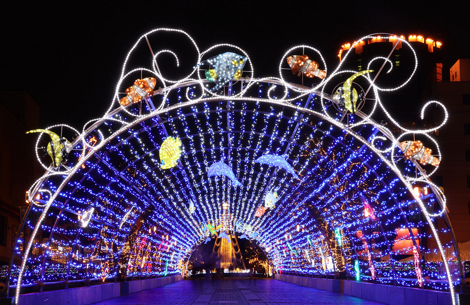 【男女共催】東京都埋蔵文化財センターに行き、多摩センターイルミネーションを見よう