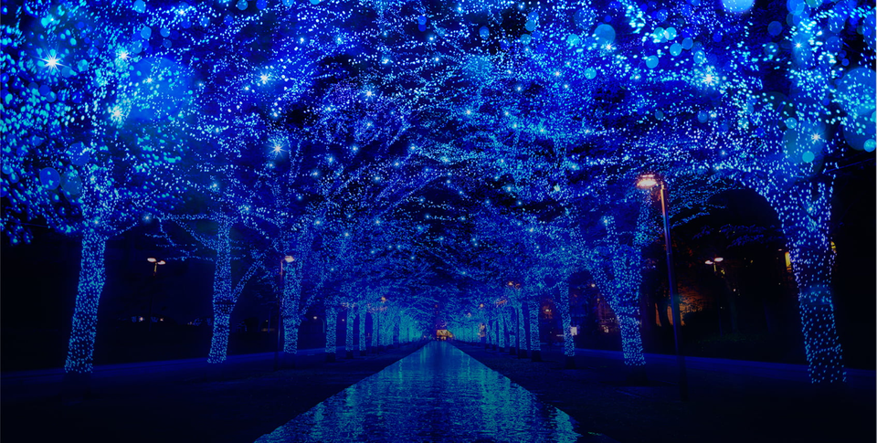 【早割中】毎年恒例のイルミネーションイベント『青の洞窟  SIBUYA』を見に行こう🌃