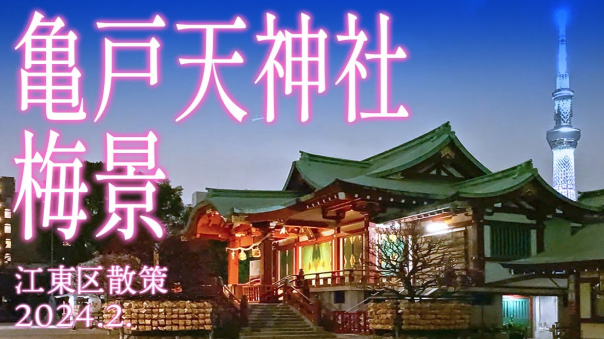 （早割無料）亀戸天神社「夜梅」鑑賞と亀戸～錦糸町の史跡巡りを楽しもう！