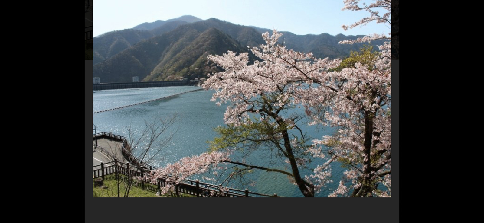 【桜満開🌸奥多摩湖🌲ここは東京？と思わせてしまう大自然イベントと廃墟エリア