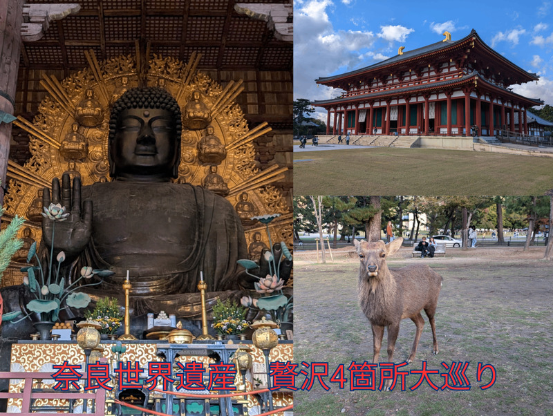 奈良世界遺産　贅沢4箇所大巡り！