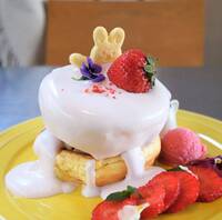 【20代30代限定】原宿の大人気カフェに行こう！おすすめはパンケーキ🌸🌸