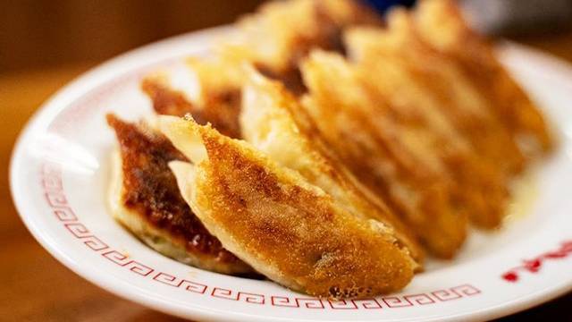 【20代30代限定】大阪餃子専門店に行こう！おすすめは徳さんが作ったまぁまぁなチャーハンです🦊🦊