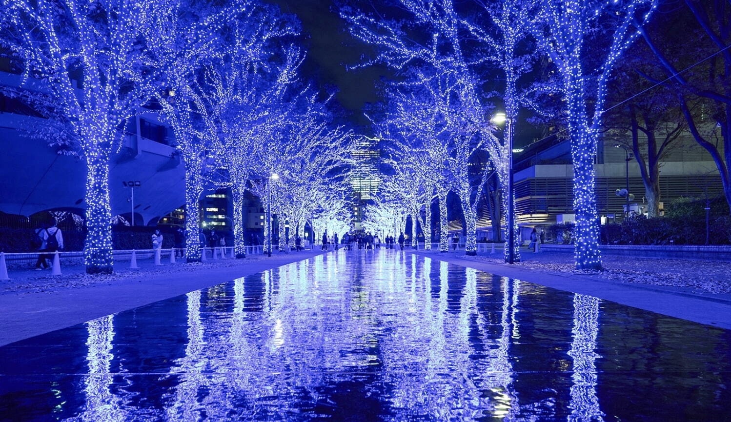 🌟渋谷・イルミネーション散歩とご飯会🌟30代後半〜50代前半