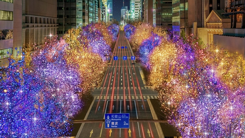 御堂筋を歩いてイルミネーション満喫しよう！   29歳以下限定！