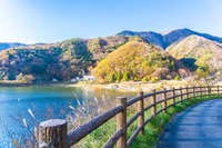 《☘️第82回☘️》🌈気軽に夜カフェ🌈【11/23(日)18:30〜】※少人数開催※🌟お1人参加歓迎✨👫