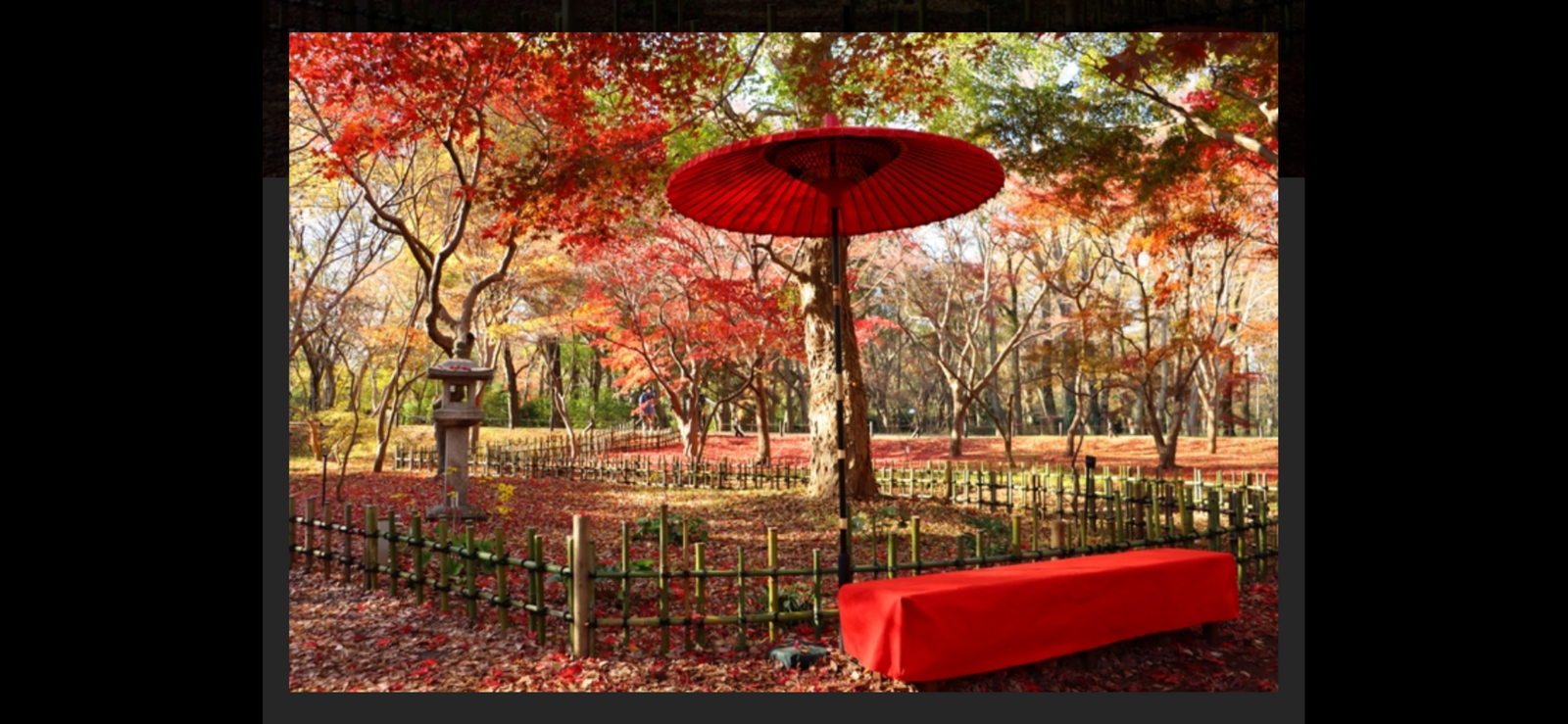 【今年ラストの紅葉🍁🍁深大寺と神代植物公園🌺イベント