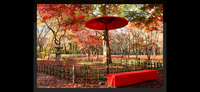 【今年ラストの紅葉🍁🍁深大寺と神代植物公園🌺イベント