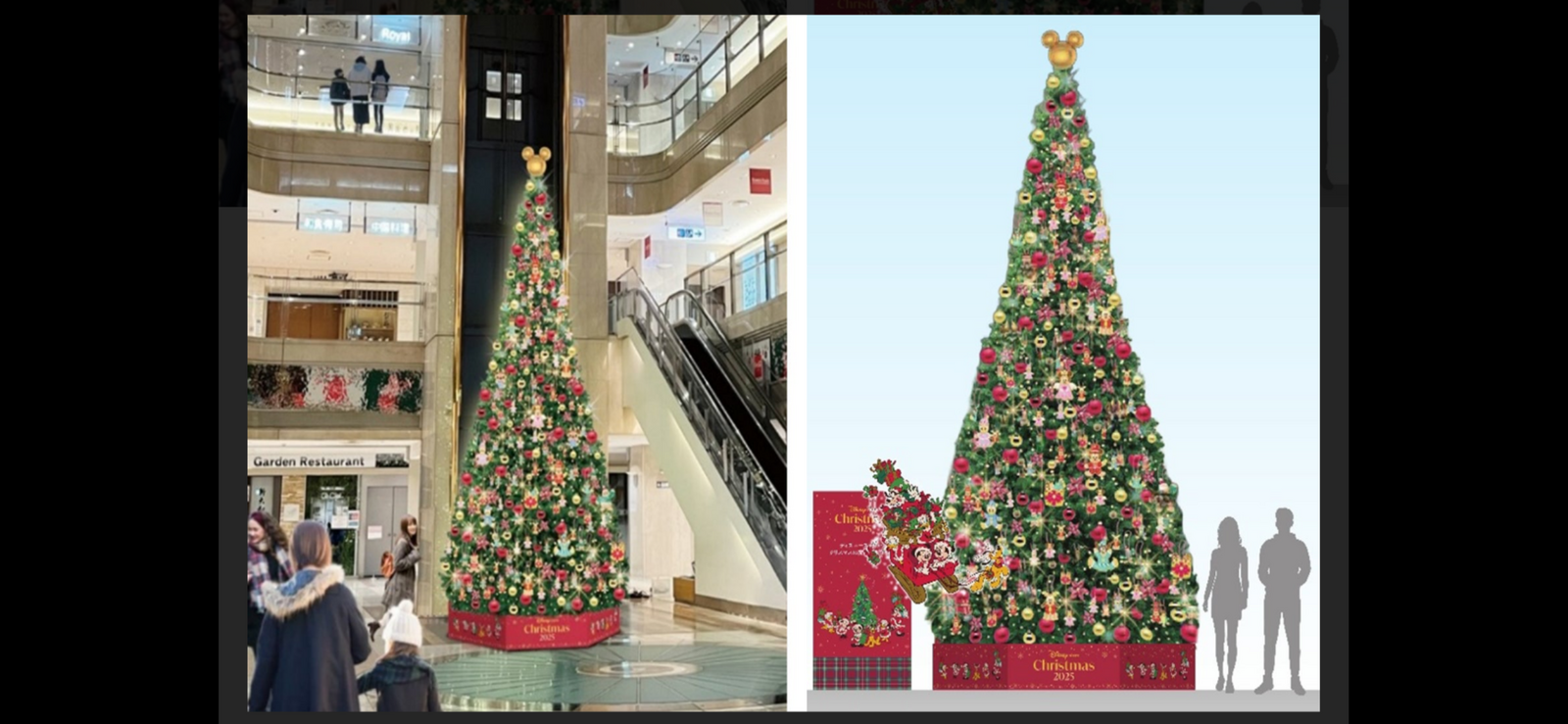 ✈️羽田空港ターミナルでクリスマス🎄ツリー満喫しよう散策✈️