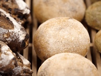 【11.19（水）開催】六本木ベーカリーカフェで朝活🥐