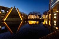 【20代30代限定】新宿の人気イルミネーションを見に行こ〜🌸🌸