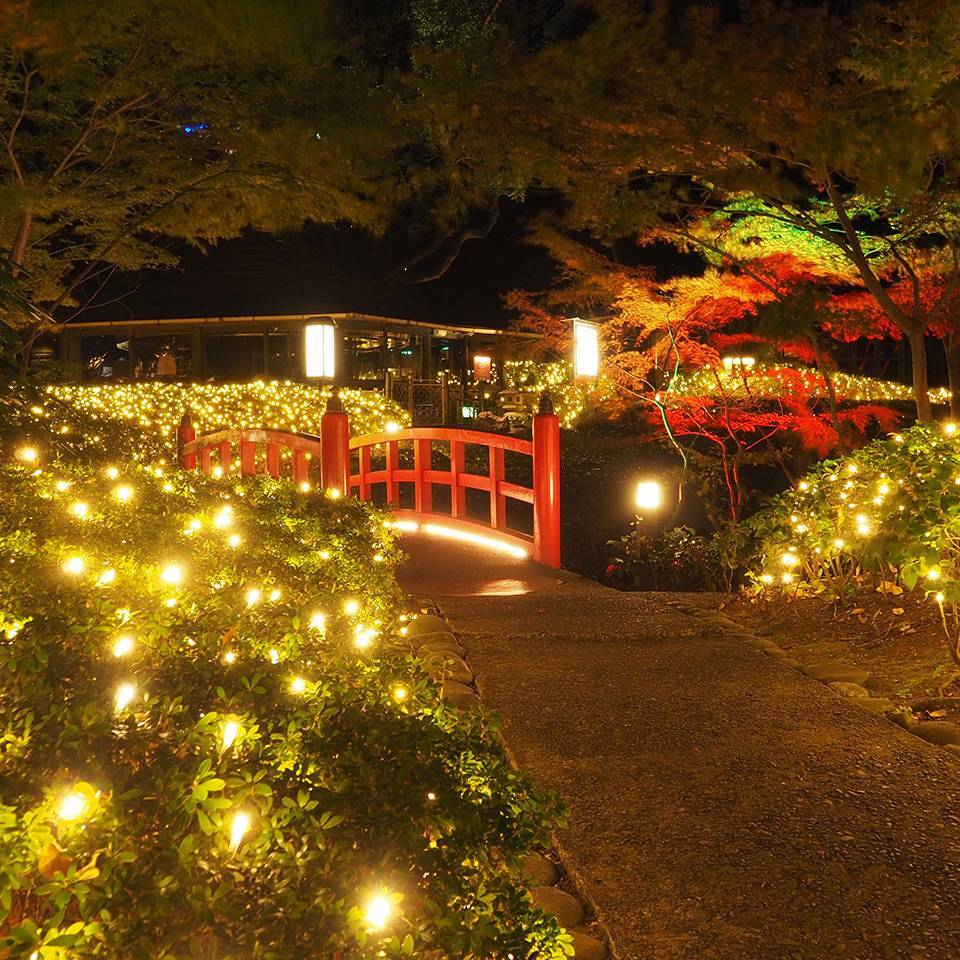 【20代30代限定】有名ホテルのウインターイルミネーションを見に行こう🌹🌹