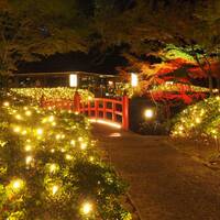 【20代30代限定】有名ホテルのウインターイルミネーションを見に行こう🌹🌹