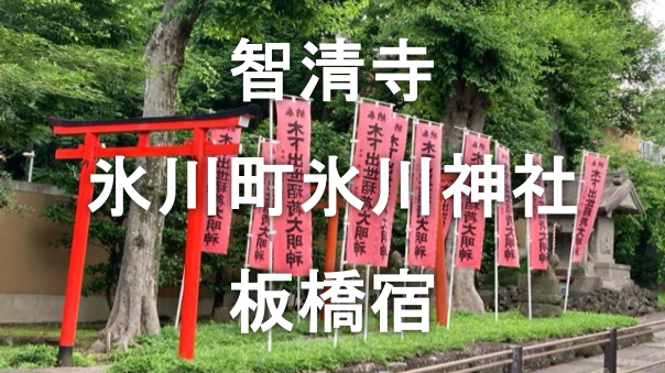 関東ではめずらしい秀吉ゆかりの場所など、旧中山道と縁切榎を巡る散歩会🚶‍♂️