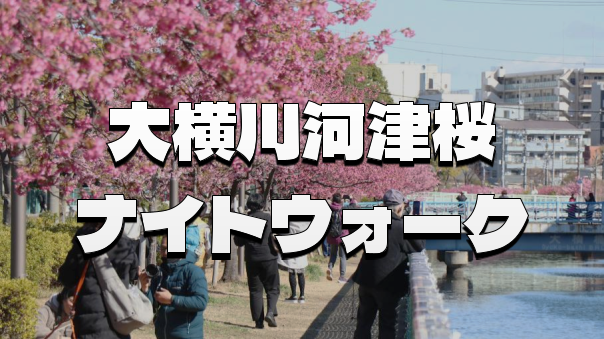 夜桜と運河を楽しむ、大横川の河津桜ナイトウォーク