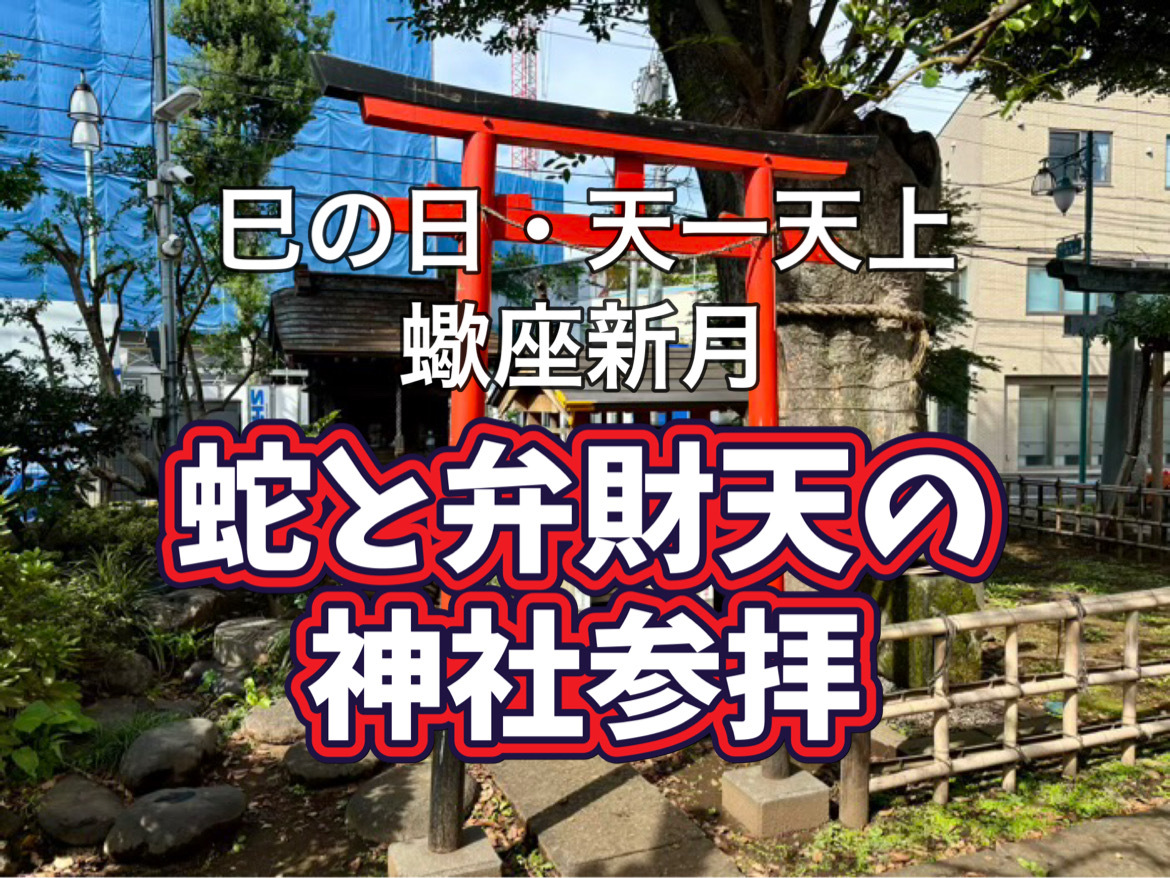 11/20本日！途中参加可能【2つの吉日×新月】「トリプル開運日」！ 金運・浄化・リセットがかなう最強神社参拝：阿佐ヶ谷