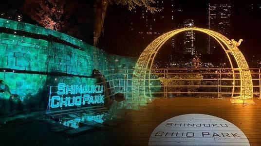 【20代30代限定】人気のアートイルミネーションを見に行こう🍩🍩