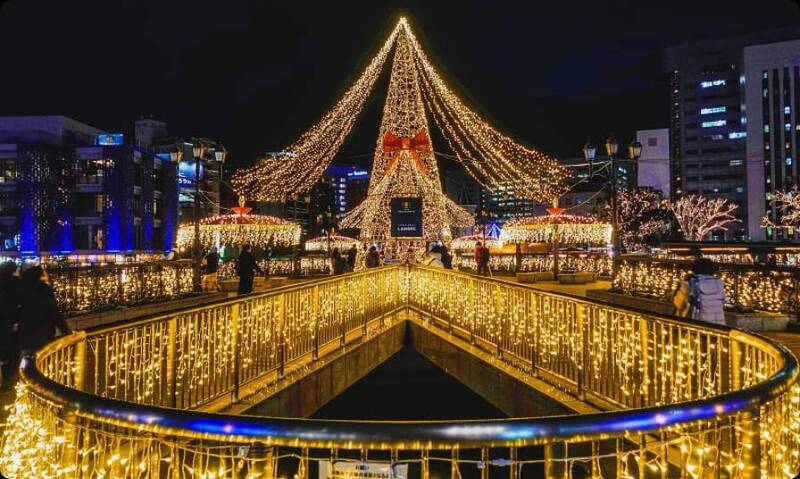 【20代30代限定】大人気のクリスマスマーケットに行こう🌺🌺
