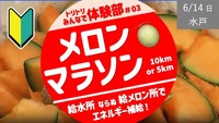 【水戸・偕楽園】🍈メロンマラソン🍈  給メロン所 でメロンを頬張りながら楽しもう！