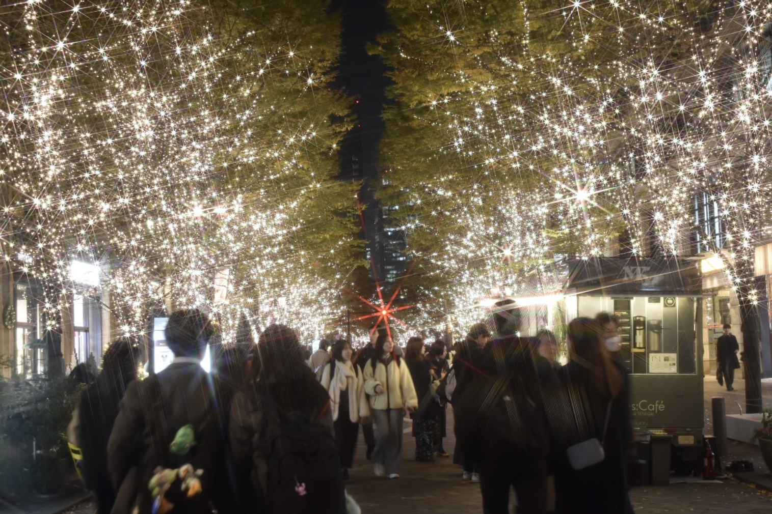 【20代】丸の内〜日比谷イルミ散歩✨
散歩・写真好きな人集まれ！