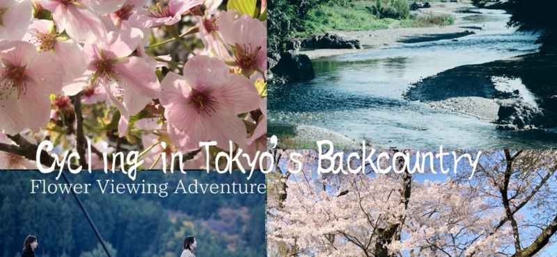 🎉【春の桜満開🌸秋川渓谷の自然満喫】リフレッシュイベント🌿