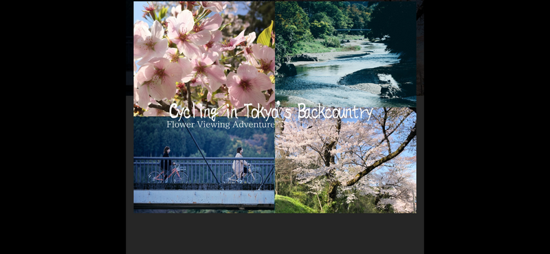 🌸春の桜満開🌸秋川渓谷の自然満喫】お昼は給食メニュー🍞🍛の場所に行きます🌿