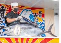 【30代中盤〜40代中心】代々木公園の魚ジャパンフェスに行こう！